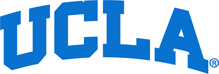 UCLA Bruins 2017-Pres Wordmark Logo v2 diy DTF decal sticker